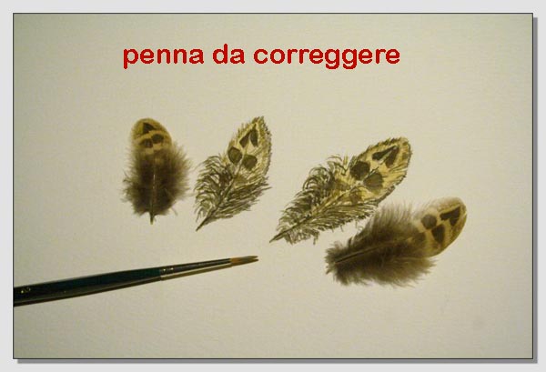 correzioni della seconda lezione